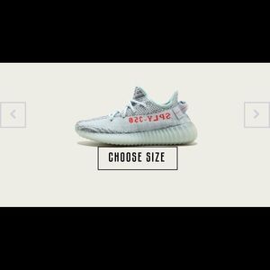 Yeezy 350
